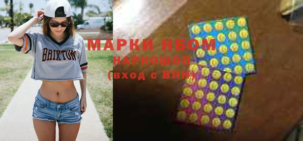 хмурый Алексин