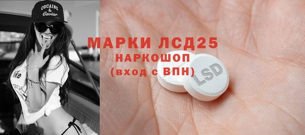 крисы Алзамай