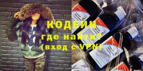 хмурый Алексин