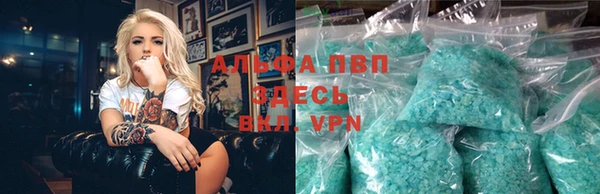 крисы Алзамай