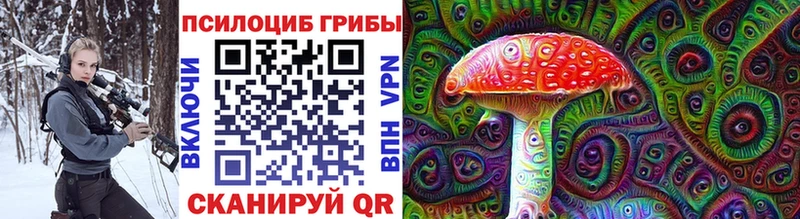 это официальный сайт  купить закладку  Мегион  Галлюциногенные грибы Psilocybine cubensis 